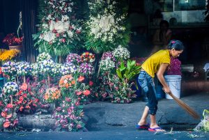 Khám phá chợ hoa Dangwa