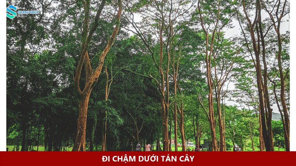 Việc làm Philippines Marketing