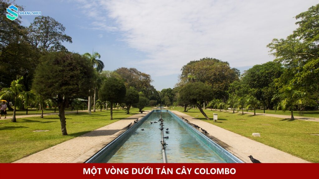 Việc làm Philippines Marketing