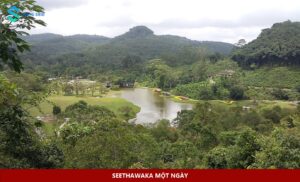 Vườn thực vật Seethawaka trong ảnh chụp tháng 7 năm 2016