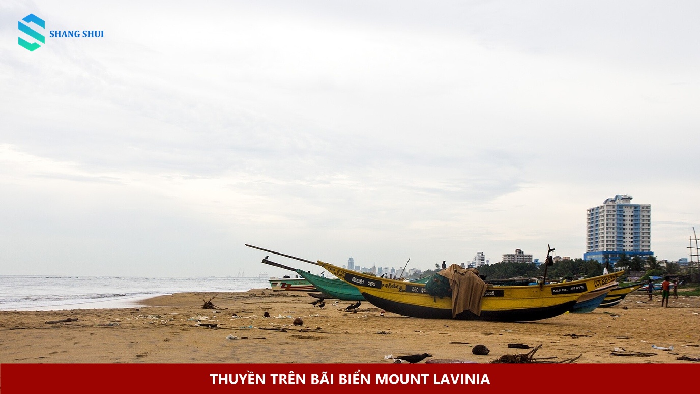 Thuyền trên bãi biển Mount Lavinia