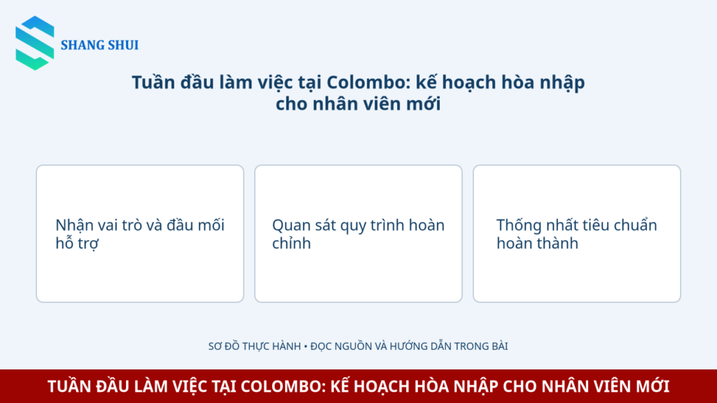 Infographic Tuần đầu làm việc tại Colombo: kế hoạch hòa nhập cho nhân viên mới: Nhận vai trò và đầu mối hỗ trợ, Quan sát quy trình hoàn chỉnh, Thống nhất tiêu chuẩn hoàn thành