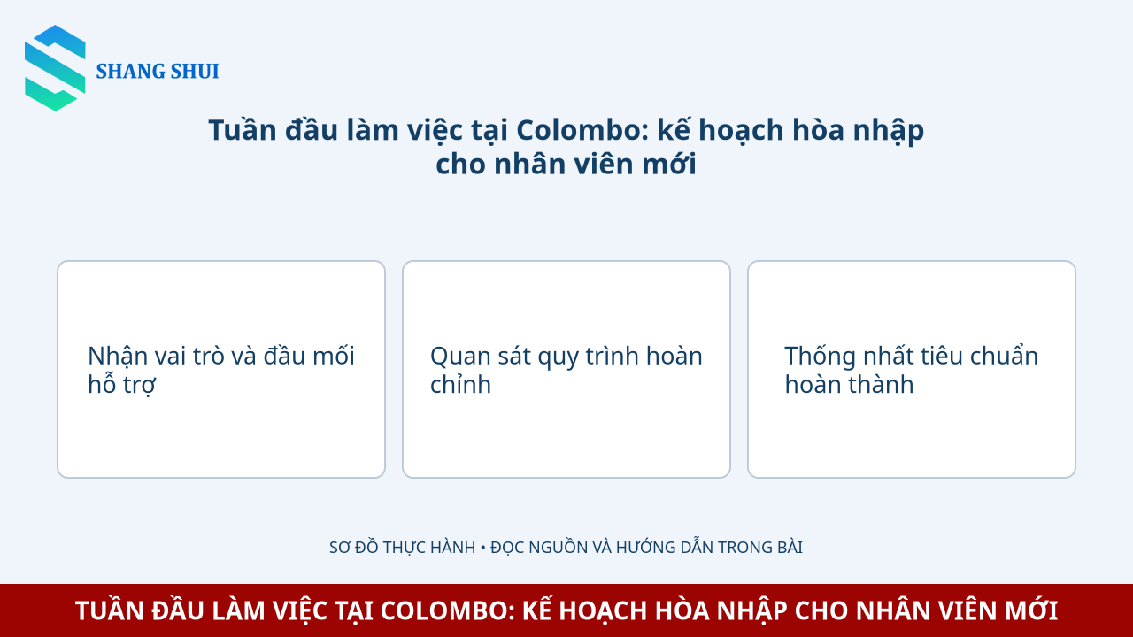 Infographic Tuần đầu làm việc tại Colombo: kế hoạch hòa nhập cho nhân viên mới: Nhận vai trò và đầu mối hỗ trợ, Quan sát quy trình hoàn chỉnh, Thống nhất tiêu chuẩn hoàn thành