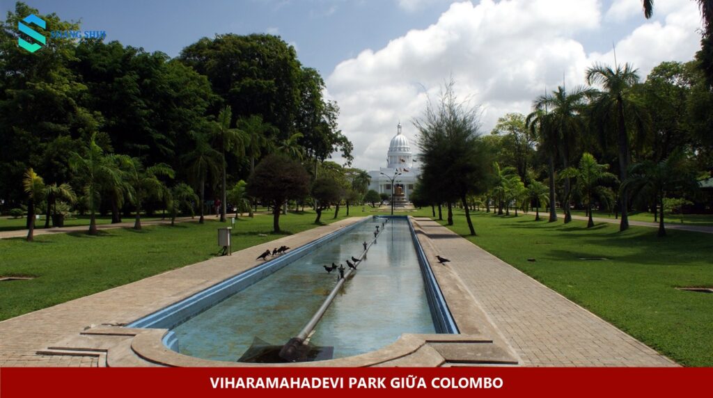 Lối đi và hồ nước giữa tán cây Viharamahadevi Park nhìn về Town Hall Colombo